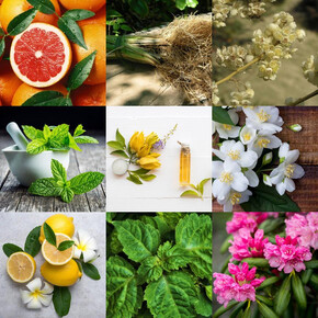 Купить все мастерские